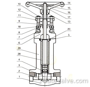 Forged Bellows Seal Gate Valve-Materials