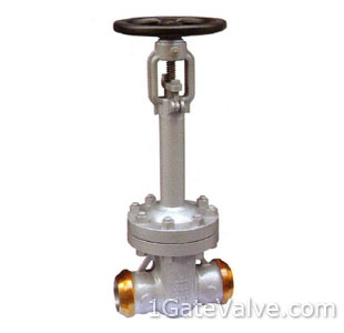 Weld Ends Cast Bellows Seal Gate Valve